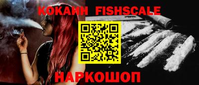 индика Сланцы
