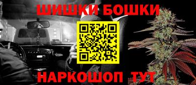 индика Сланцы