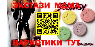 индика Сланцы