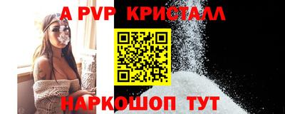 индика Сланцы