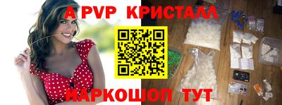 индика Сланцы