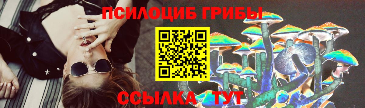 Псилоцибиновые грибы ЛСД Полысаево